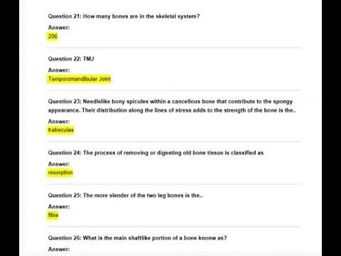 FREE AND STUDY GAMES ABOUT CHAPTER 6 NOTESEXAM QUESTIONSActual Qs and Ans Expert-Verified