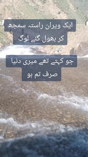 choudhry (@choudhry_noreplay)’s videos with original sound - choudhry