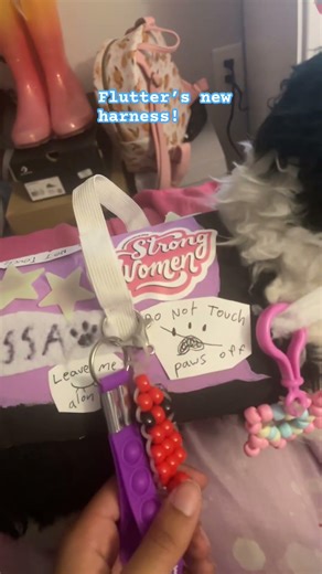 New ESSA harness! ￼// #furry #essa #dandysworld #diy #kandi #dog #stuffedanimals