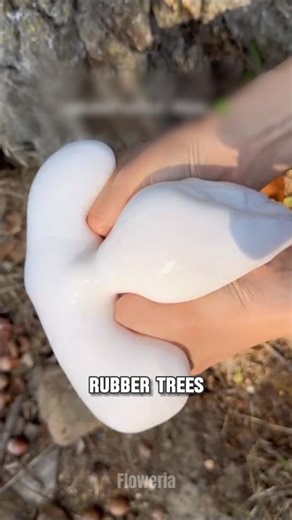 It looks like slime, but it's not a slime!