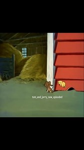 Tom Caught Jerry and his friend: They are running behind🤣🤣🤣🤣🤣🤣🤣🤣🤣🤣🤣🤣🤣 https://youtube.com/@cartoontrendyfame?si=CmFrICRvieEoYQB0 . . . . #tomandjerrychallenge #tomandjerryfunny #tomandjerrymemes #tomandjerrylover #TomAndJerryForever #adventure #animation #oldcartoons #oggy #Jerry #comedy #funny #tomjerry | Cartoon Trendy Fame