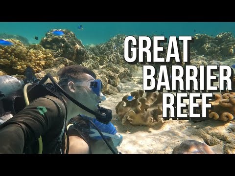 GREAT BARRIER REEF | FIRST SCUBA EXPERIENCE | FINDING NEMO 🪸🐠