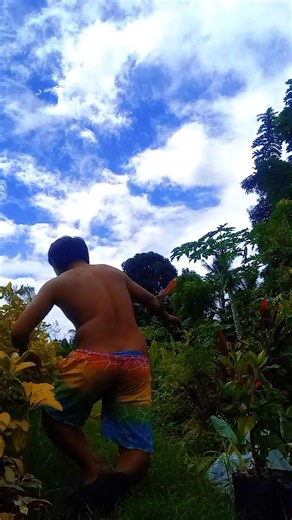 Credit dun sa original. #Hardinero | R-v Carlos