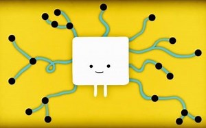 【Ted-ED】网络理论 Network Theory