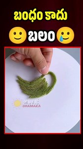 44K views · 411 reactions | Bonds Are Strength  #lifehacks, #tipsandtricks, #homehacks, #kitchenhacks, #lifehack #lifehacks #diy #lifehacker #hacks #lifehacking #hack #tips #lifetips #life #lifestyle #lifehackers #useful #diyideas #diys #howto #diyproject #helpfultips #doityourself #lifehacksclub #tipsandtricks #lifehacksss #diyvideo #tutorial #easydiy #reelsvideo #reelsviral #virals #MovieDhamaka | Movie Dhamaka | Facebook