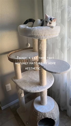 Beautiful cat tree ✨🖤🐾 #cattree #cathome #catsoftiktok #catlover | Cat Tree