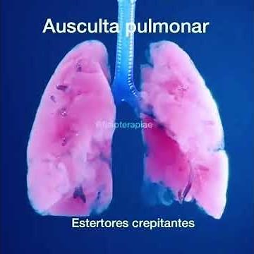 Ausculta pulmonar estertores crepitantes