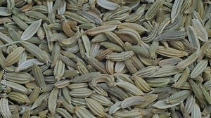 Top view: heap of dry fennel seeds on slow rotating surface - macro, close up. Herbal, seasoning and healthy concept