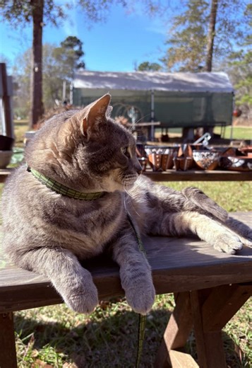 Mac Miller's Unreleased Song Featuring Lana Del Rey