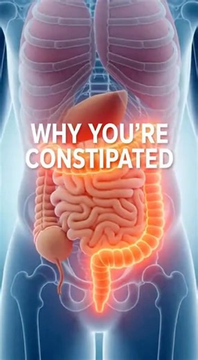 The Uncomfortable Truth About Slow Digestion #health #bodyfacts
