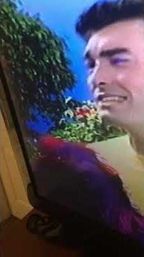 The Wiggles - Another Cuppa