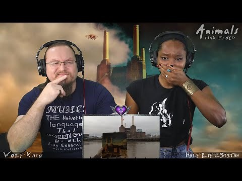 Pink Floyd - Dogs ( Reaction, Breakdown, Commentary )