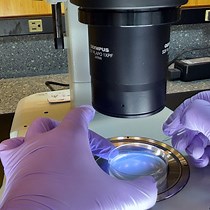 Conditioning Aversive Memory in C. elegans - JoVE Journal