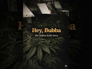 BUBBA KUSH: The Bubba Kush Origins Story 🌱