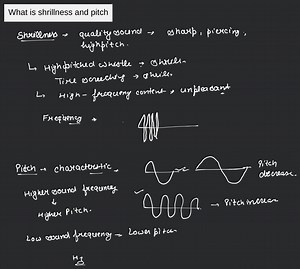 What is shrillness and pitch... | Filo
