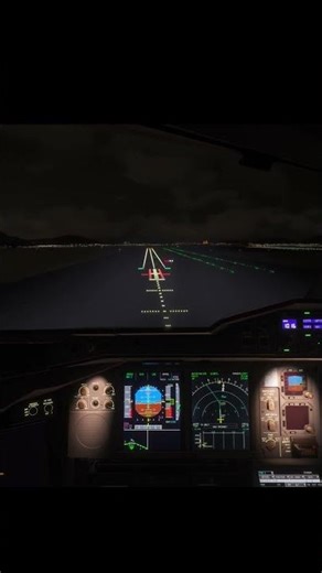 Smooth A380 Landing on VATSIM 🧈 | Shared Cockpit