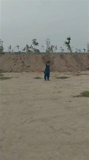 falcon training process #birds #viralvideo