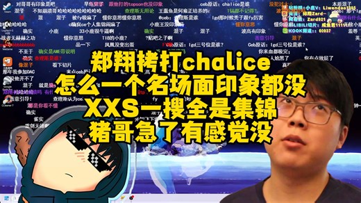 郑翔：查猪怎么一个名场面都没印象啊，chalice集锦最燃的是BGM，XXS一搜全是集锦，猪哥有点急了有感觉吗