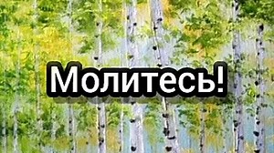 v10044g50000c8f5i0bc77u3h5mmchcg