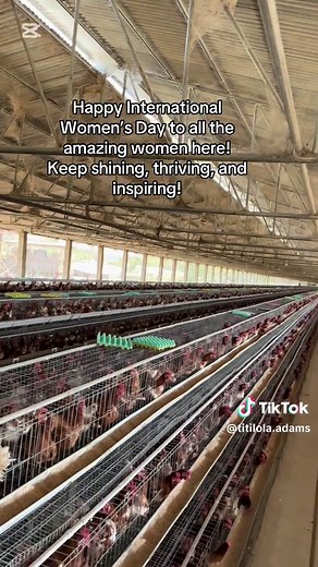 #CapCut Happy International Women’s Day to all the amazing women here! Keep shining, thriving, and inspiring!” #happyinternationalwomensday #happywomensday #happywomen #farm #farmer #farms #poultry #agriculture