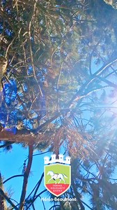 Un été à Hénin-Beaumont ! 🌞 | Ville d'Hénin-Beaumont