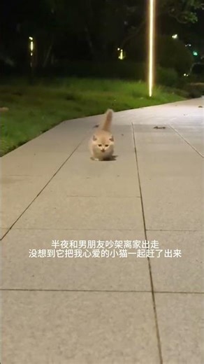 Isn't this really electric? I really want to remove its battery. Cute pet debut plan. Mankikon's