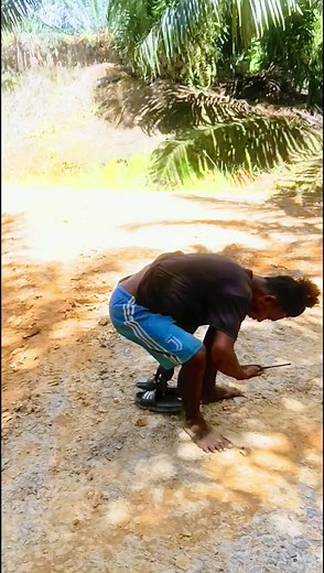 Exploring Walkie-Talkie Features in Outdoor Settings