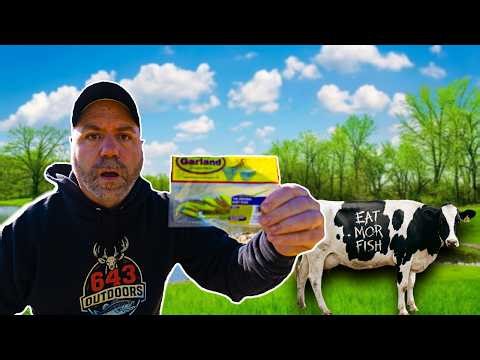 Spring Crappie Fishing: This Bait is Like CHEATING!