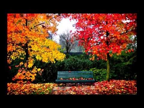 Rameau-Tendre amour (Les Indes galantes) French baroque music