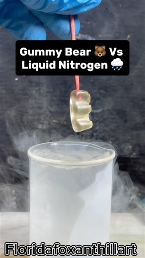 Gummy Bear 🐻 Vs Liquid Nitrogen 🌧️#Satisfying #Experiment #Science #ASMR #LiquidNitrogen
