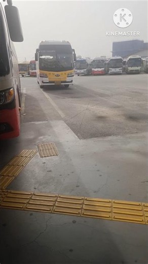 [Bus Cam] 천일고속 세종터미널발 서울경부행(세종청사 경유) 세종고속시외버스터미널 출발