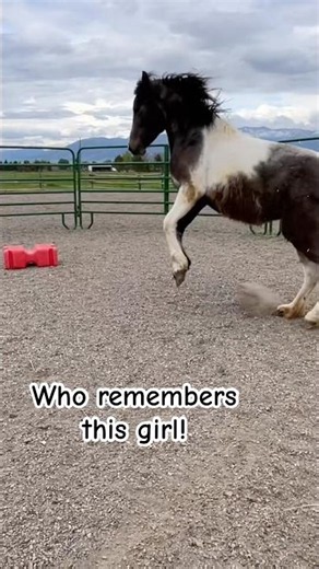 I love getting updates on my rehab horses! ❤️