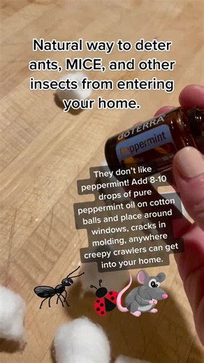 Natural Pest Control Methods: Keep Bugs and Mice Away Safely