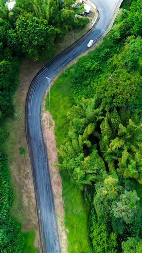 1.4K views · 41 reactions | King of the hill 2025 | David Moore | Facebook