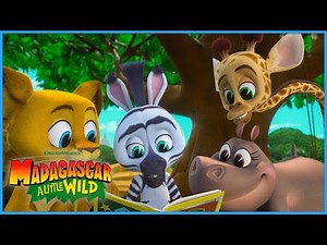 Learning to Read 📚 | Madagascar: A Little Wild | DreamWorks Madagascar