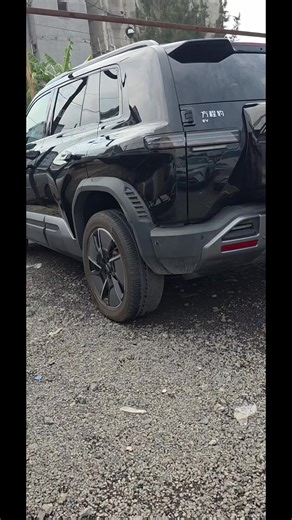 2025 BYD Leopard 3: Features and Performance Overview