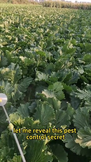 Part 8: Gardening tips | Garden and Lifehacks V1