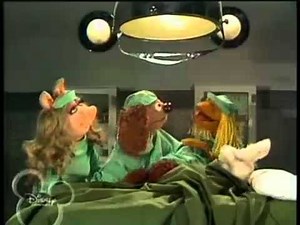 The Muppet Show Veterinarian s Hospital Bunny