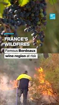 France’s wildfires: Famous Bordeaux wine region at risk • FRANCE 24 English