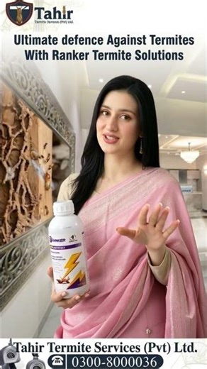 Best Termite Control Chemical Company in Lahore Pakistan