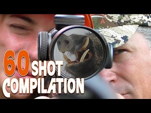 60 Hunting Shot Compilation // Compilation of the 60 best hunting shots // 2021