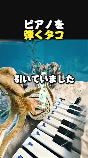 タコの驚くべき学習能力