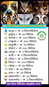 Assamese motivational words 😳 #assamese #shorts #quotes #motivation #knowledgeable #status #newinfo