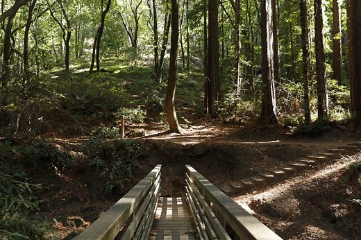 10 best Bay Area hikes, according to 600,000 AllTrails reviews