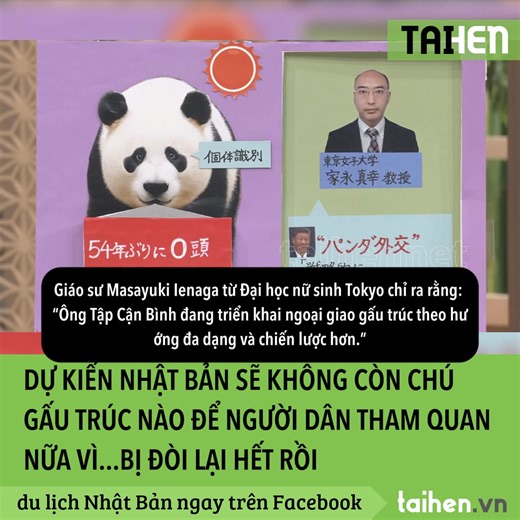 47K views · 189 reactions | Gấu trúc nổi tiếng nhờ ngoại hình đáng...