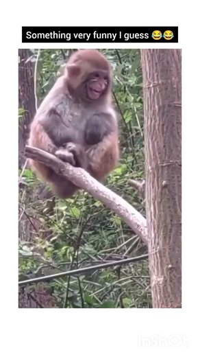 the happiness on his face ❤