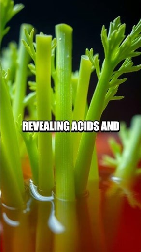 Glow and Grow Home Science Evening