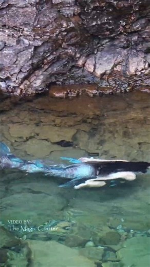 A mermaid swims into a cave and vanishes (Lake Superior)