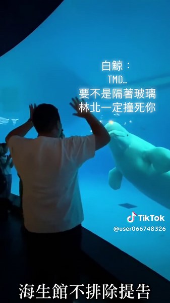 我跟鯨魚吵架的趣事