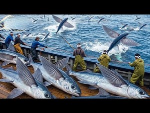【10億円産業】日本の巨大トビウオ漁に迫る：深夜の大量捕獲から製品化までの驚異的な全行程記録ドキュメンタリー